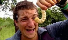 吃瓜群99307786,一场全民参与的娱乐盛宴