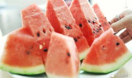 小飞瓜吃西瓜,小飞瓜的甜蜜西瓜之旅