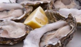 牡蛎瓜怎么吃才好吃,解锁最佳食用秘诀