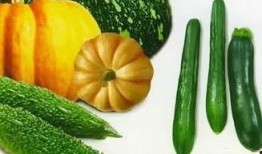 山西吃内脏的瓜,探寻内脏美食的独特魅力