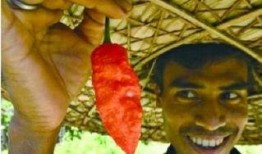 赤鬼伯伯吃瓜,赤鬼伯伯的瓜田奇遇记