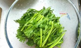 吃瓜扒皮狼茼蒿,茼蒿背后的故事与真相