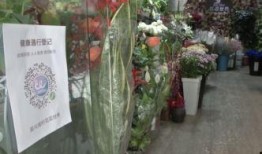 花店老板吃瓜,花店老板的瓜田奇遇记