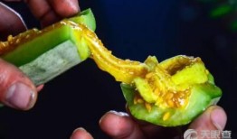 羊瓜给可以吃,探寻羊瓜的独特美味与营养价值