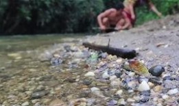 做梦瓜地里吃瓜,一场奇幻的瓜果盛宴