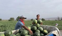 宿院吃瓜事件,揭秘校园八卦背后的真相