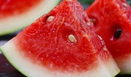 莆田吃的藤瓜是什么瓜种,藤瓜的独特魅力与种植奥秘