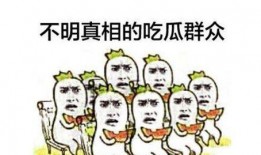 吃瓜群众无敌小强,揭秘网络红人的崛起之路
