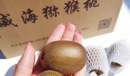 桃能跟哈密瓜一起吃吗,兼容性探讨与食用建议