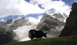 巴青县吃瓜,探寻藏地特色美食之旅
