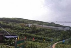 大新县吃瓜事件,一场网络热议背后的真相与反思