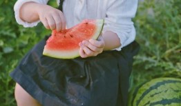 做梦瓜地里吃瓜,一场奇幻的瓜果盛宴