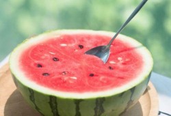 山东吃瓜微信圈,揭秘当地特色美食与民间趣事