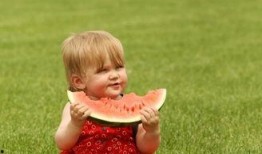 吃秋瓜会头晕吗,揭秘秋季饮食健康风险”