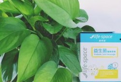 爪瓜宠物益生菌怎么吃,科学喂养，守护宠物健康之道