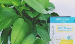 爪瓜宠物益生菌怎么吃,科学喂养，守护宠物健康之道