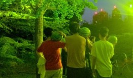 美院吃瓜,揭秘艺术殿堂里的“吃瓜”事件