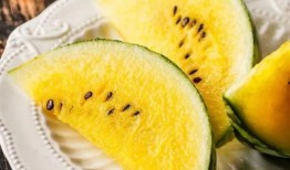 香格里拉吃瓜,瓜果飘香，品味夏日清凉