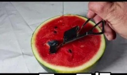 夏天必备吃瓜神器,吃瓜神器盘点