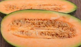 午后可以吃哈密瓜,尽享哈密瓜的甘甜滋味