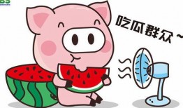 吃瓜故事英语,Unveiling the Buzz: A Gossipy Journey Through the World of 'Eating Watermelon Stories'