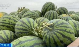 朝堂吃瓜345,揭秘吃瓜群众眼中的345事件