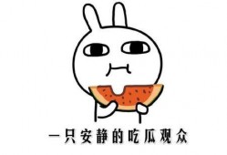 在网络上吃瓜是什么意思,揭秘虚拟世界中的围观文化