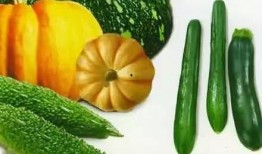 吃瓜祖师爷,揭秘网络时代“吃瓜群众”的起源与演变