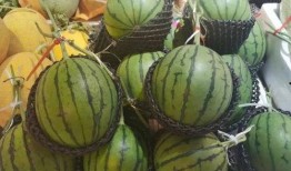 吃瓜的小傻,揭秘美食背后的故事