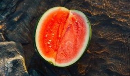 香格里拉吃瓜,瓜果飘香，品味夏日清凉