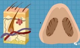 q群免费吃瓜,免费吃瓜盛宴，尽在q群狂欢时刻！