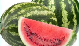 痛风可以吃胜瓜,胜瓜助力健康饮食调理