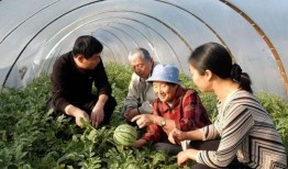 边疆吃瓜,吃瓜群众的独特生活画卷