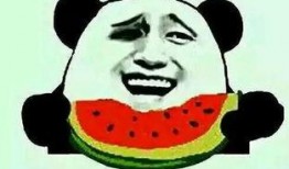 吃瓜恋爱脑,揭秘当代年轻人的情感迷思与甜蜜陷阱