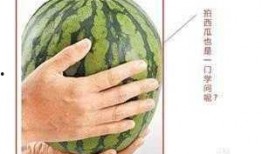 吃瓜的小傻,揭秘美食背后的故事