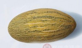 吃哈密瓜会长肉吗