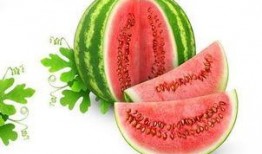 陈逸轩吃瓜,揭秘娱乐圈幕后故事