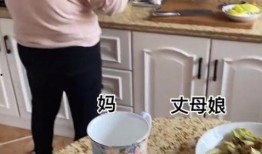 鹿泉丈母娘吃瓜,揭秘家庭纷争背后的真相