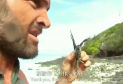 德爷吃野瓜,野瓜盛宴，挑战味蕾极限