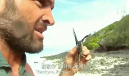 德爷吃野瓜,野瓜盛宴，挑战味蕾极限