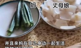 鹿泉丈母娘吃瓜,揭秘家庭纷争背后的真相