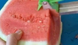 夏天必备吃瓜神器,吃瓜神器盘点