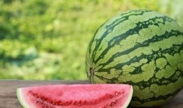 吃瓜会引起过敏吗