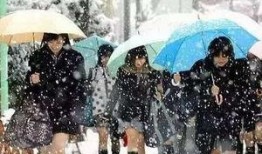 北极吃瓜群众,北极“吃瓜群众”视角下的极地风云