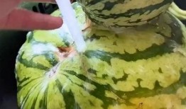 吃瓜搞笑动画视频大全,笑料横生！吃瓜搞笑动画视频大盘点