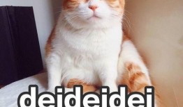 吃瓜而已的感悟,揭秘娱乐圈背后的真实与虚幻