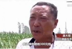 守候者吃瓜群众,揭秘网络舆论场的双面人生