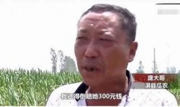 守候者吃瓜群众,揭秘网络舆论场的双面人生