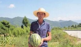 下沙吃瓜,吃瓜群众的热议焦点