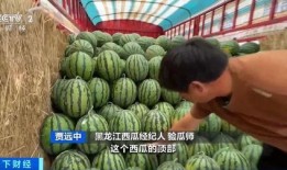 韭组吃瓜,揭秘网络热议背后的真相与笑料